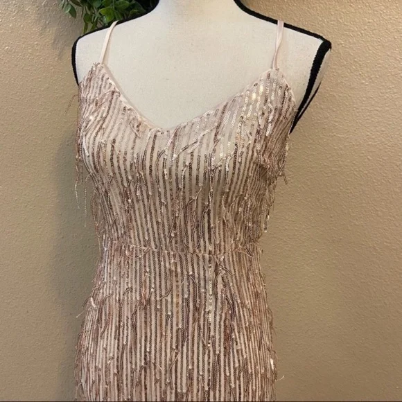 Endless Festivities Rose Gold Sequin Fringe Lace-Up Maxi Dress - Picture 3 of 15